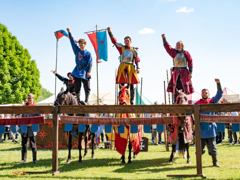 20190518 Mittelalterfest Fotos (55 of 119)